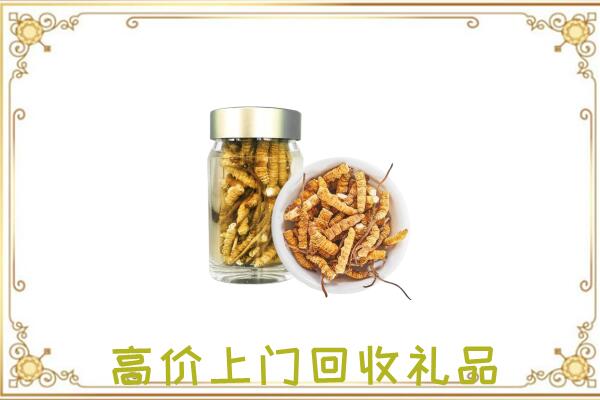 邱县周边回收虫草